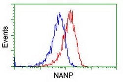 NANP Monoclonal Antibody (OTI4D11), TrueMAB , OriGene 30 &mu;L; Unconjugated:Antibodies,