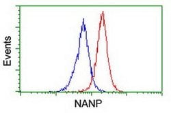NANP Monoclonal Antibody (OTI4D11), TrueMAB , OriGene 30 &mu;L; Unconjugated:Antibodies,