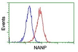 NANP Monoclonal Antibody (OTI1G8), TrueMAB , OriGene 30 &mu;L; Unconjugated:Antibodies,