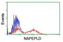 NAPEPLD Mouse anti-Human, Clone: OTI4B12, TrueMAB , Origene 30 &mu;L; Unconjugated:Anticuerpos