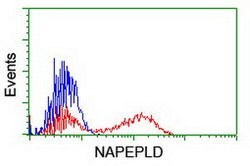 NAPEPLD Mouse anti-Human, Clone: OTI7B9, lyophilized, TrueMAB 100 &mu;g;