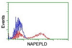 NAPEPLD Monoclonal Antibody (OTI7B9), TrueMAB , OriGene:Antibodies:Primary