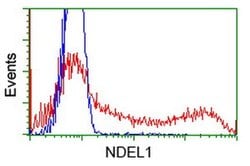 NDEL1 Monoclonal Antibody (OTI1C7), TrueMAB , OriGene 100 &mu;L; Unconjugated:Antibodies,