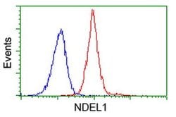 NDEL1 Monoclonal Antibody (OTI1C7), TrueMAB , OriGene 100 &mu;L; Unconjugated:Antibodies,