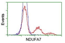 NDUFA7 Monoclonal Antibody (OTI2F3), TrueMAB , OriGene 100 &mu;L; Unconjugated:Antibodies,