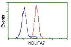 NDUFA7 Monoclonal Antibody (OTI2F3), TrueMAB , OriGene 100 &mu;L; Unconjugated:Antibodies,