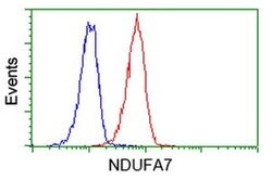 NDUFA7 Monoclonal Antibody (OTI2F3), TrueMAB , OriGene 100 &mu;L; Unconjugated:Antibodies,