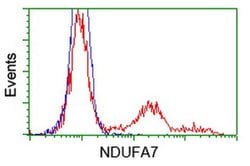 NDUFA7 Monoclonal Antibody (OTI3B2), TrueMAB , OriGene:Antibodies:Primary