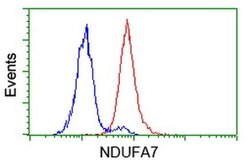 NDUFA7 Monoclonal Antibody (OTI3B2), TrueMAB , OriGene 30 &mu;L; Unconjugated:Antibodies,