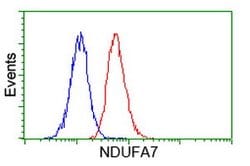 NDUFA7 Mouse anti-Human, Clone: OTI2E3, lyophilized, TrueMAB 100 &mu;g;