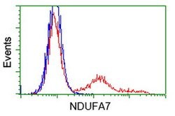 NDUFA7 Mouse anti-Human, Clone: OTI2G4, lyophilized, TrueMAB 100 &mu;g;
