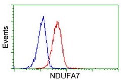 NDUFA7 Mouse anti-Human, Clone: OTI2G4, lyophilized, TrueMAB 100 &mu;g;