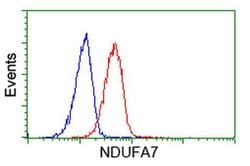NDUFA7 Monoclonal Antibody (OTI2G4), TrueMAB , OriGene 30 &mu;L; Unconjugated:Antibodies,