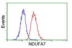 NDUFA7 Mouse anti-Human, Clone: OTI2G4, lyophilized, TrueMAB 100 &mu;g;