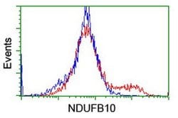 NDUFB10 Monoclonal Antibody (OTI1H6), TrueMAB , OriGene 100 &mu;L; Unconjugated:Antibodies,