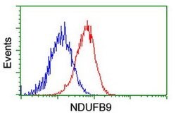 NDUFB9 Monoclonal Antibody (OTI13H11), TrueMAB , OriGene 30 &mu;L; Unconjugated:Antibodies,