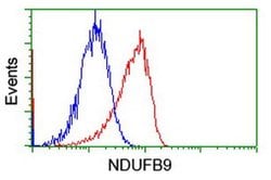 NDUFB9 Monoclonal Antibody (OTI13H11), TrueMAB , OriGene 30 &mu;L; Unconjugated:Antibodies,
