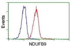 NDUFB9 Monoclonal Antibody (OTI9B2), TrueMAB , OriGene 100 &mu;L; Unconjugated:Antibodies,