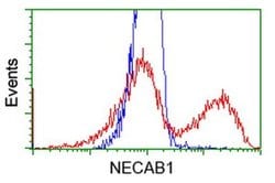 NECAB1 Monoclonal Antibody (OTI1H5), TrueMAB , OriGene 100 &mu;L; Unconjugated:Antibodies,