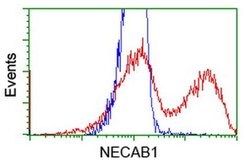 NECAB1 Monoclonal Antibody (OTI4G8), TrueMAB , OriGene 30 &mu;L; Unconjugated:Antibodies,