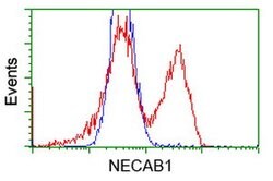 NECAB1 Mouse anti-Human, Clone: OTI2H5, lyophilized, TrueMAB 100 &mu;g;