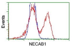 NECAB1 Monoclonal Antibody (OTI2H5), TrueMAB , OriGene 30 μL; Unconjugated:Antibodies,