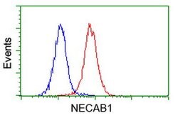 NECAB1 Mouse anti-Human, Clone: OTI2H5, lyophilized, TrueMAB 100 &mu;g;