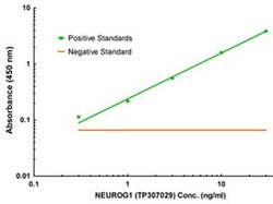 NEUROG1 Mouse anti-Human, Biotin, Clone: OTI9A8, liquid, TrueMAB 50 &mu;g;