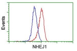 NHEJ1 Mouse anti-Human, Clone: OTI3E6, lyophilized, TrueMAB 100 &mu;g;