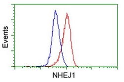 NHEJ1 Monoclonal Antibody (OTI3E6), TrueMAB , OriGene 30 &mu;L; Unconjugated:Antibodies,