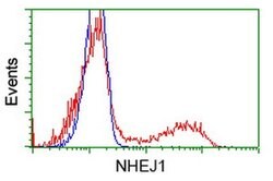 NHEJ1 Monoclonal Antibody (OTI3E5), TrueMAB , OriGene 30 &mu;L; Unconjugated:Antibodies,