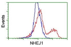 NHEJ1 Monoclonal Antibody (OTI2C8), TrueMAB , OriGene:Antibodies:Primary