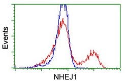 NHEJ1 Mouse anti-Human, Clone: OTI1G5, lyophilized, TrueMAB 100 &mu;g;
