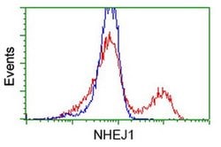 NHEJ1 Monoclonal Antibody (OTI1G5), TrueMAB , OriGene 100 &mu;L; Unconjugated:Antibodies,
