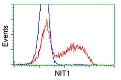 NIT1 Monoclonal Antibody (OTI4D12), TrueMAB , OriGene 100 &mu;L; Unconjugated:Antibodies,