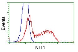 NIT1 Mouse anti-Human, Clone: OTI3A11, lyophilized, TrueMAB 100 &mu;g | Buy Online | Origene Technologies | Fisher Scientific