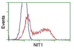 NIT1 Monoclonal Antibody (OTI3A11), TrueMAB , OriGene 100 &mu;L; Unconjugated:Antibodies,