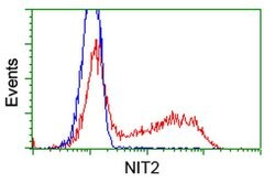 NIT2 Mouse anti-Human, Clone: OTI3D5, liquid, TrueMAB 100 &mu;L | Buy Online | Origene Technologies | Fisher Scientific