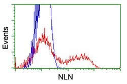 NLN Monoclonal Antibody (OTI3A12), TrueMAB , OriGene 100 &mu;L; Unconjugated:Antibodies,