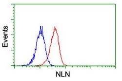 NLN Mouse anti-Human, Mouse, Rat, Clone: OTI1D6, lyophilized, TrueMAB 100