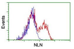 NLN Monoclonal Antibody (OTI3H4), TrueMAB , OriGene 100 &mu;L; Unconjugated:Antibodies,