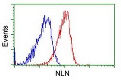 NLN Monoclonal Antibody (OTI3H4), TrueMAB , OriGene 100 &mu;L; Unconjugated:Antibodies,