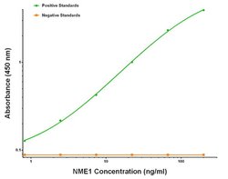 NME1 Mouse anti-Human, Biotin, Clone: OTI7D6, liquid, TrueMAB 50 &mu;g;