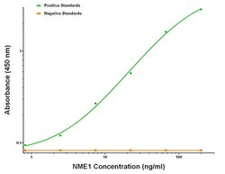 NME1 Mouse anti-Human, Biotin, Clone: OTI7D6, liquid, TrueMAB 50 &mu;g;