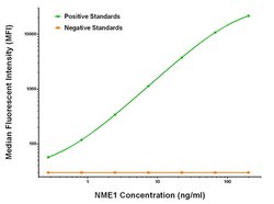 NME1 Mouse anti-Human, Clone: OTI6E8, liquid, TrueMAB 100 &mu;g; Unconjugated:Antibodies,