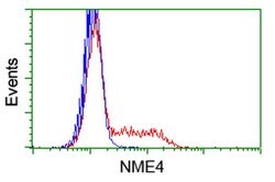 NME4 Monoclonal Antibody (OTI1A5), TrueMAB , OriGene 30 &mu;L | Buy Online | OriGene | Fisher Scientific