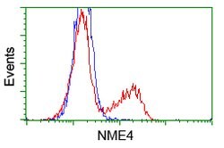 NME4 Mouse anti-Human, Clone: OTI3B7, lyophilized, TrueMAB 100 &mu;g | Buy Online | Origene Technologies | Fisher Scientific