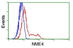 NME4 Monoclonal Antibody (OTI5E4), TrueMAB , OriGene 30 &mu;L; Unconjugated:Antibodies,