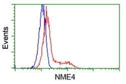 NME4 Monoclonal Antibody (OTI1E3), TrueMAB , OriGene 30 &mu;L; Unconjugated:Antibodies,