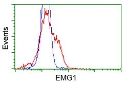 NME4 Mouse anti-Human, Clone: OTI4F10, lyophilized, TrueMAB 100 &mu;g;